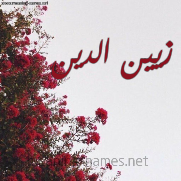 شكل 18 صوره الورد الأحمر للإسم بخط رقعة صورة اسم زيين الدين Zain-Aldin